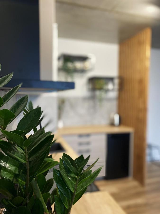 Igoaparts Wroblewskiego Apartment Лодз Екстериор снимка